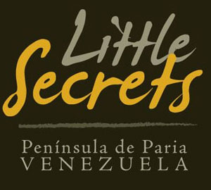 LITTLE SECRETS